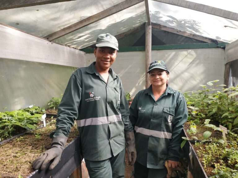 Las niñeras de las plantas nativas del vivero Las Mercedes