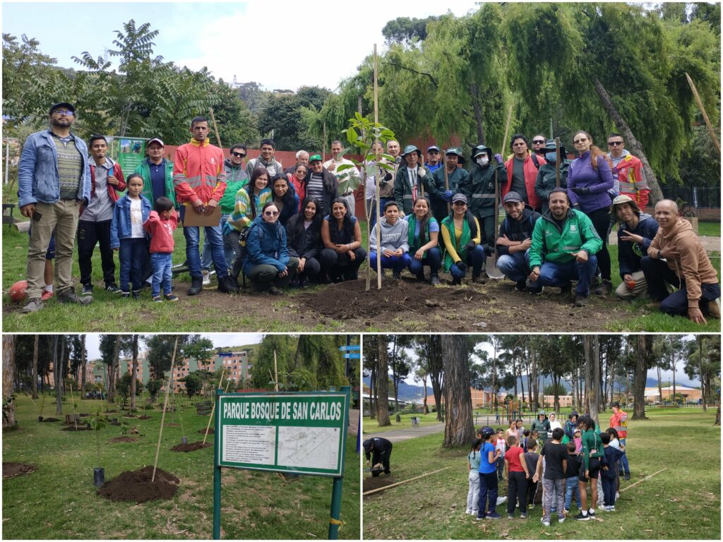 ¡Reverdece el pulmón del sur de Bogotá!