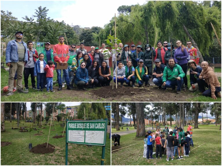 ¡Reverdece el pulmón del sur de Bogotá!