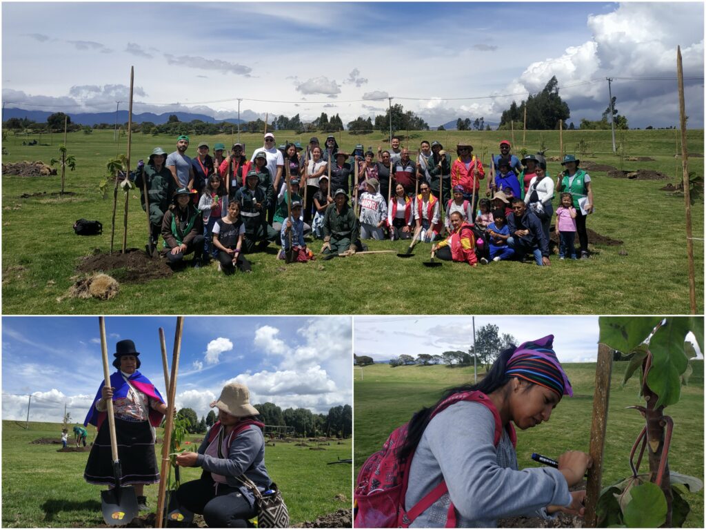 Una plantación con mensaje ancestral en Fontibón