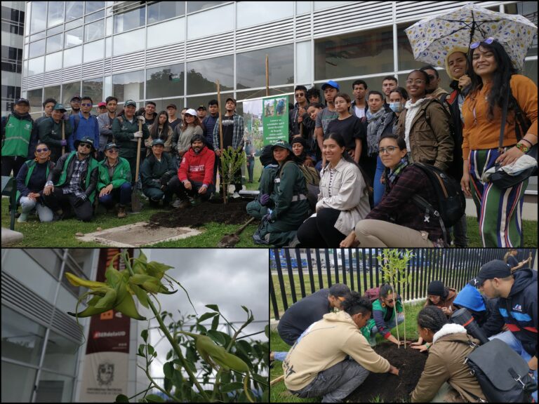 Una plantación universitaria en Ciudad Bolívar