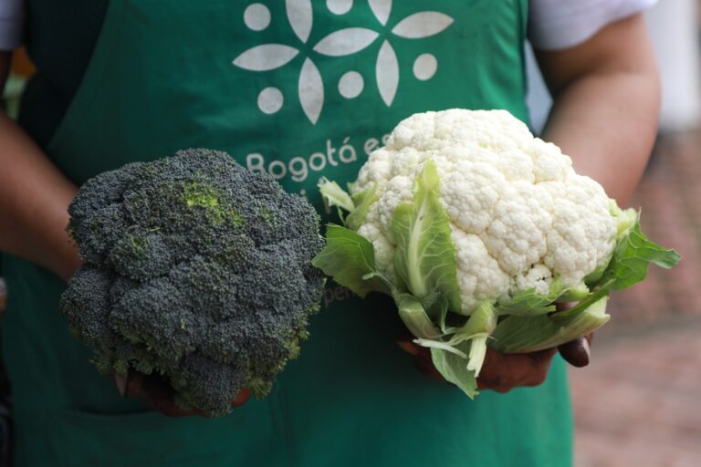 Llega la jornada número 22 de Mercados Campesinos Agroecológicos Bogotá es mi huerta: Rescatando los saberes y sabores de la Bogotá rural
