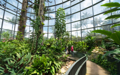 TROPICARIO