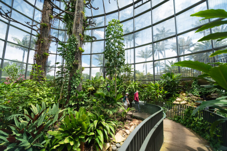 TROPICARIO