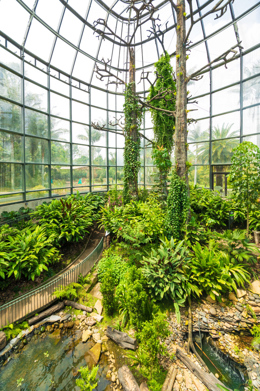 Galer a Tropicario Jard n Bot nico De Bogot Galer a Tropicario Jard n Bot nico De Bogot