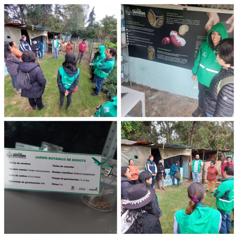 Jardín Botánico de Bogotá presenta noveno banco de semillas agroecológicas, esta vez en la Localidad de Suba