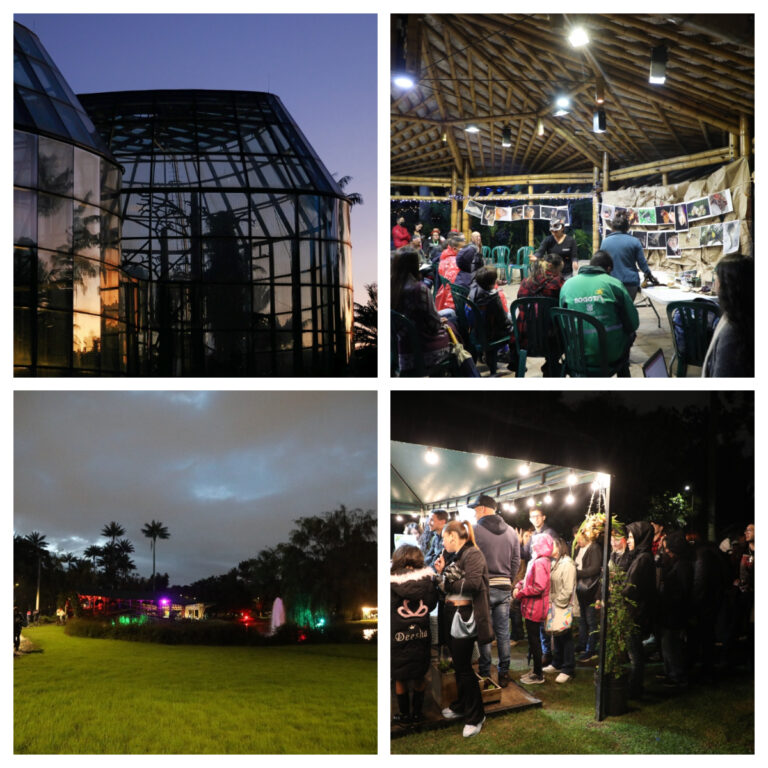 jardin de noche julio 2023