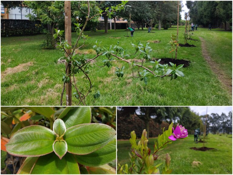 San Simón: una hacienda verde en la localidad de Suba