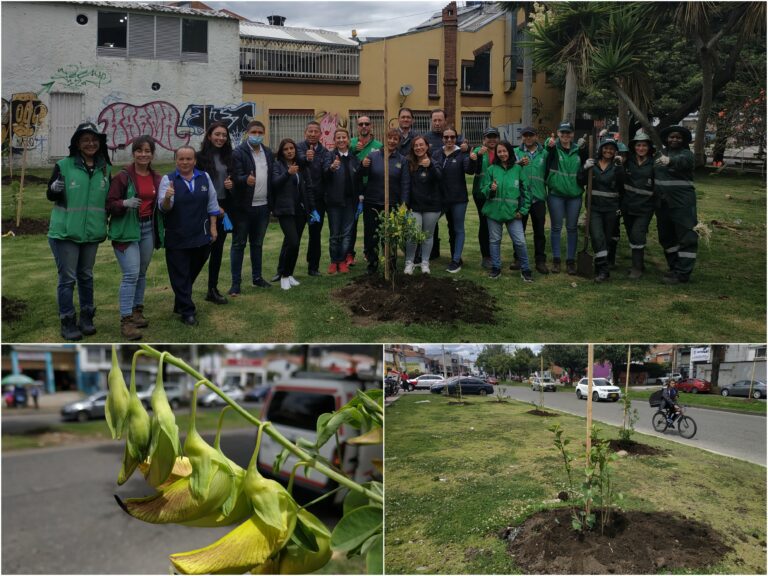 El nuevo rostro arbolado de la Avenida Las Villas