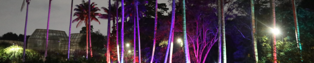Jardín de Noche