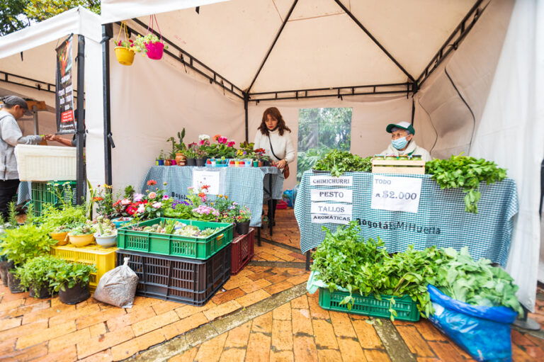 Bogotá es mi Huerta: la opción imperdible de este fin de semana para mercar, aprender y disfrutar en el Jardín Botánico de Bogotá