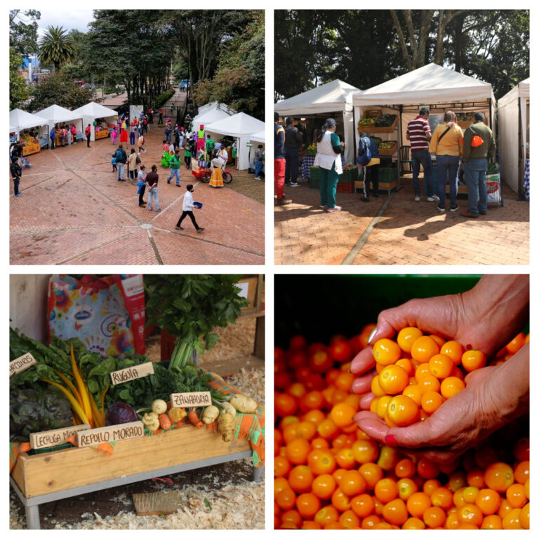 Septiembre arranca con sabores y aromas de las huertas bogotanas