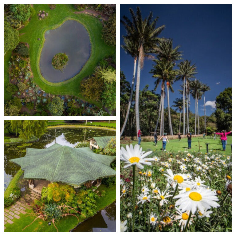 Péguese una pasadita por la Vitrina de la Felicidad en el Jardín Botánico de Bogotá del 26 de agosto al 1 de septiembre