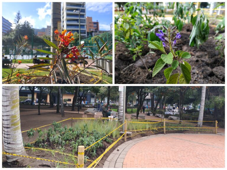 Dos nuevos hogares para los polinizadores en Chapinero