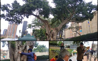 El homenaje a un octogenario verde del centro de Bogotá