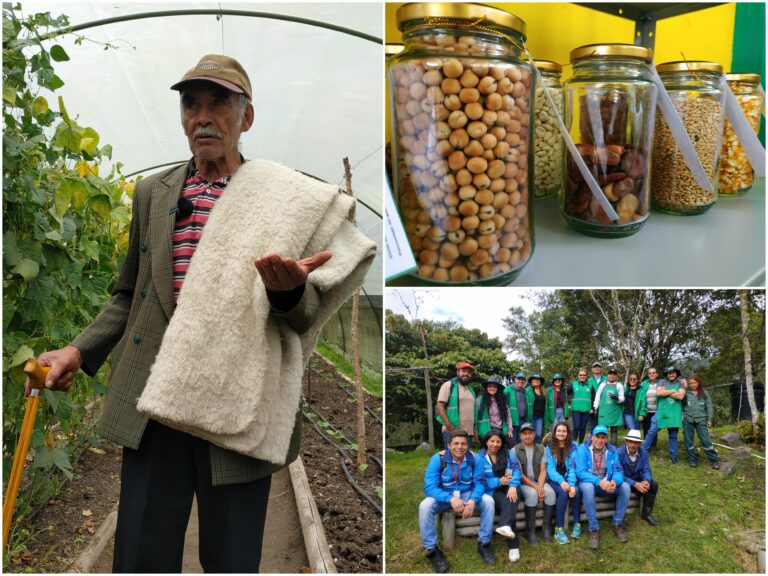 Sumapaz estrena el primer banco rural de semillas agroecológicas de Bogotá