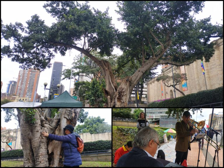 El homenaje a un octogenario verde del centro de Bogotá
