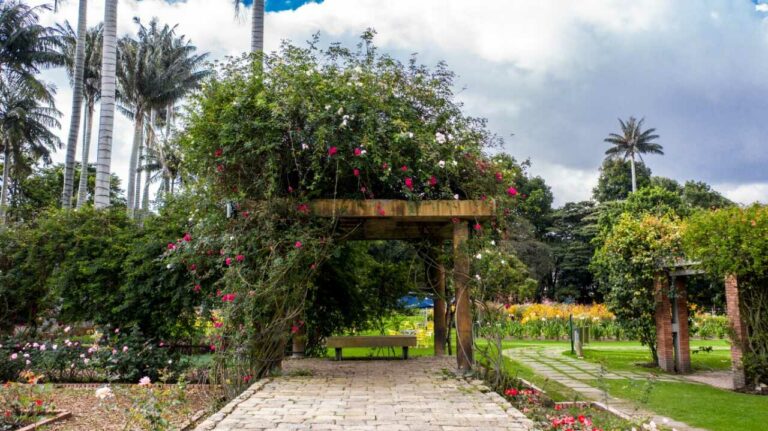 Jardín Botánico celebra 66 años reverdeciendo a Bogotá