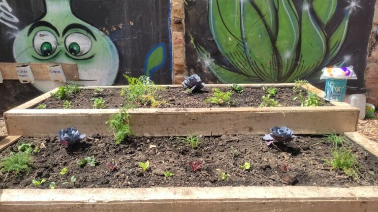 Jardín Botánico y Alcaldía de Los Mártires entregaron nueva huerta en predio La Fortaleza, antigua “olla” de microtráfico