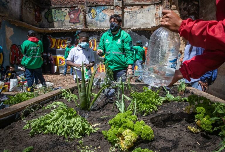 Distrito entrega tercera huerta en antigua “olla” de microtráfico en Los Mártires