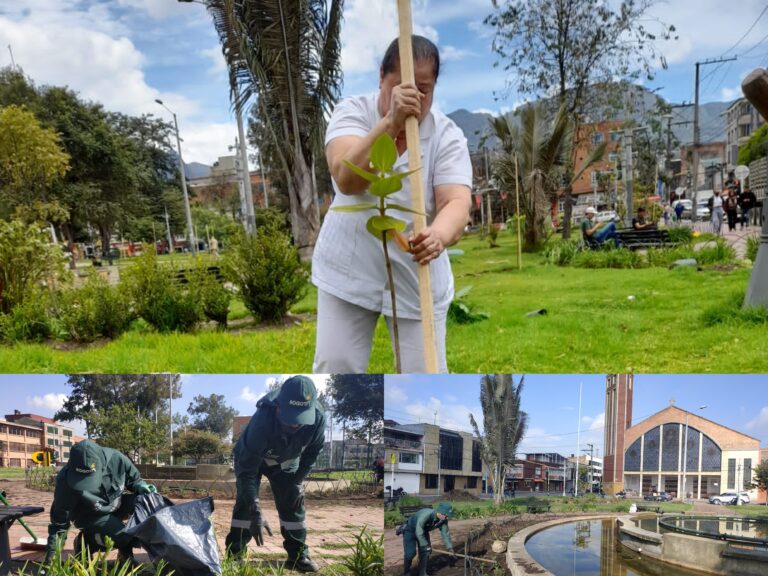 La nueva apariencia verde del parque Ricaurte