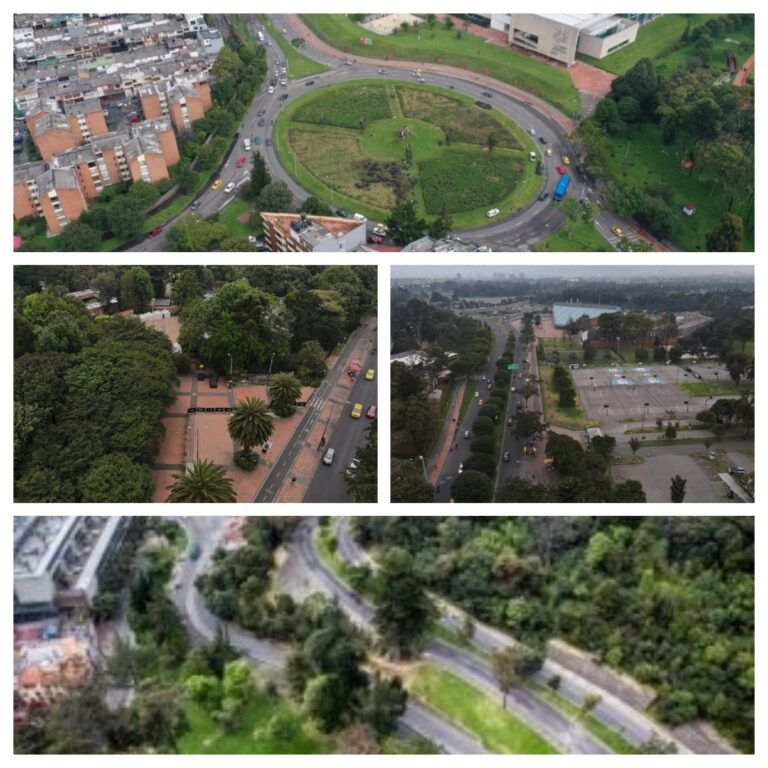 En la #SemanaBogotáReverdece Jardín Botánico lanza guías gratuitas de arbolado urbano