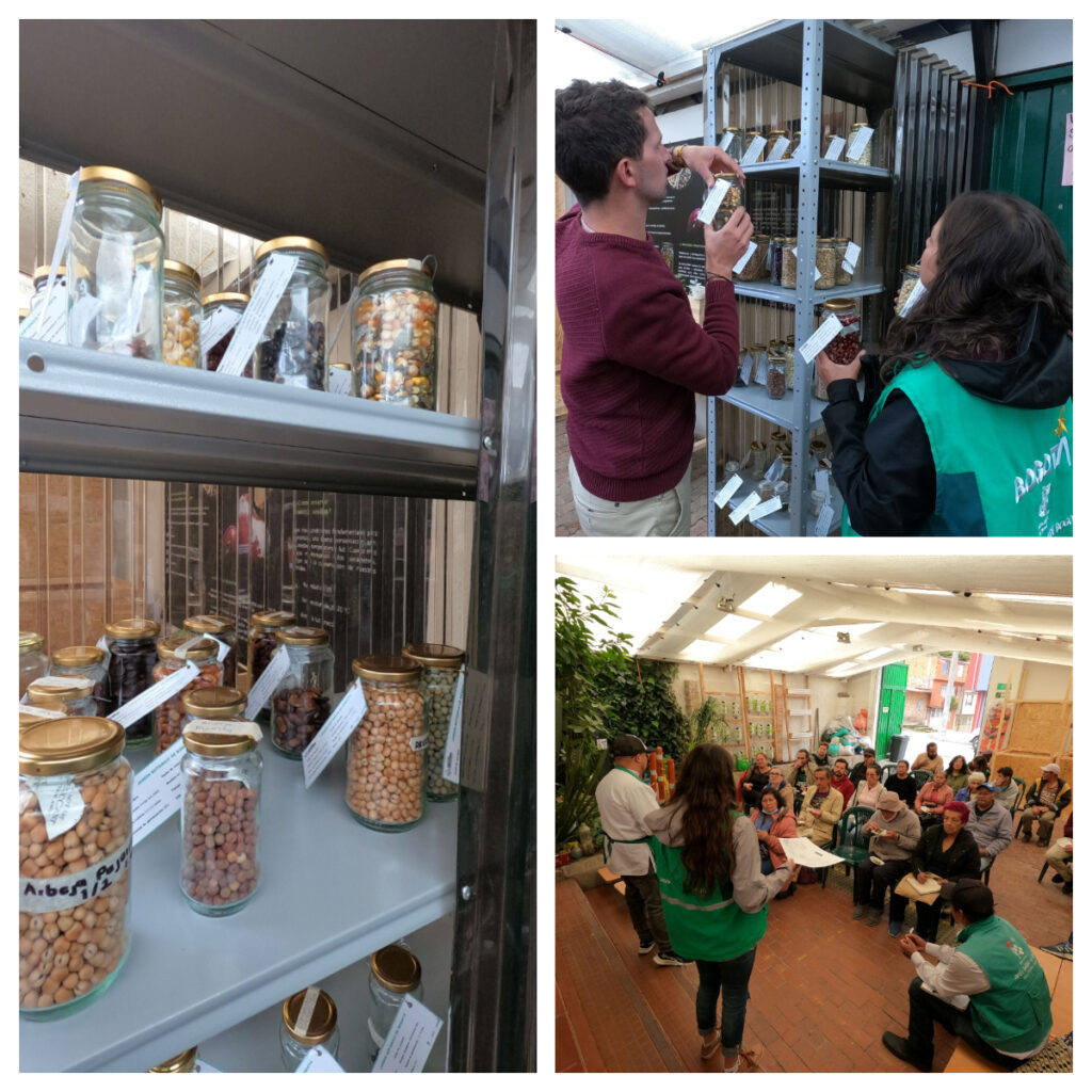 En Chapinero Jardín Botánico inaugura octavo Banco de Semillas