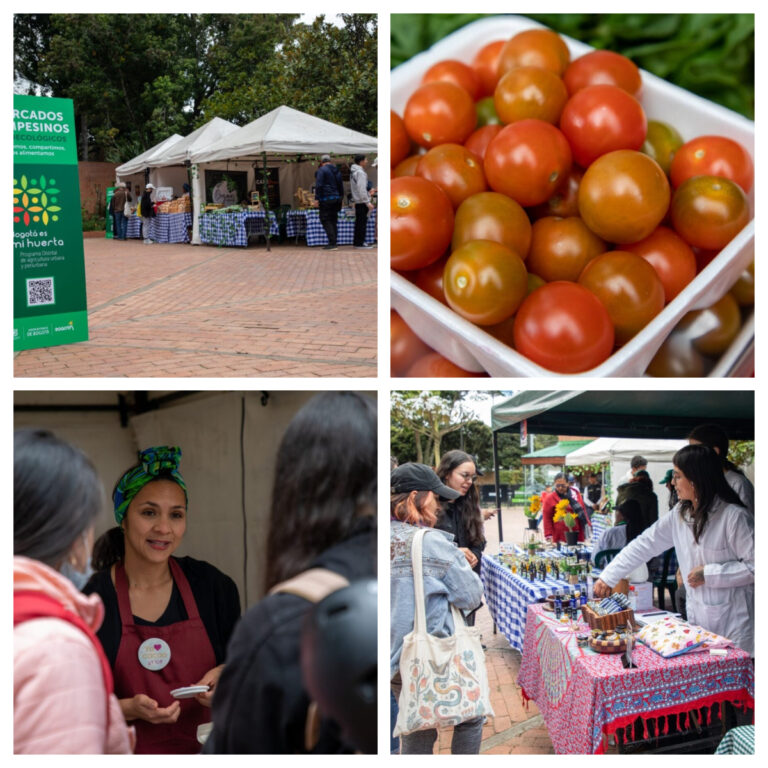 Productos del campo y de las huertas urbanas directo a su canasta familiar en los Mercados Campesinos Agroecológicos