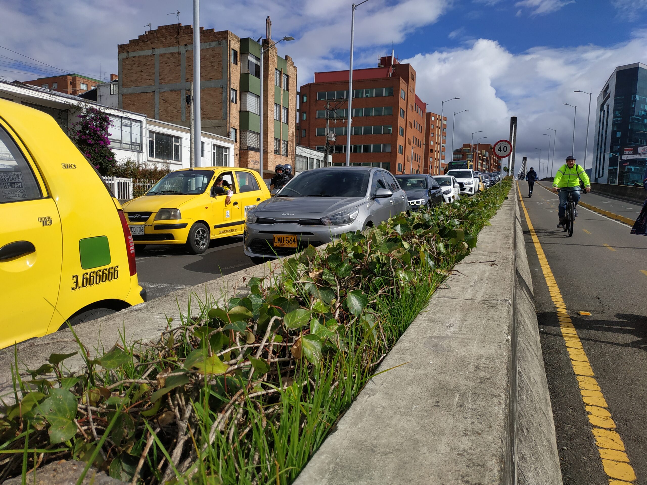 El puente vehicular de Usaquén que floreció con una nueva jardinera