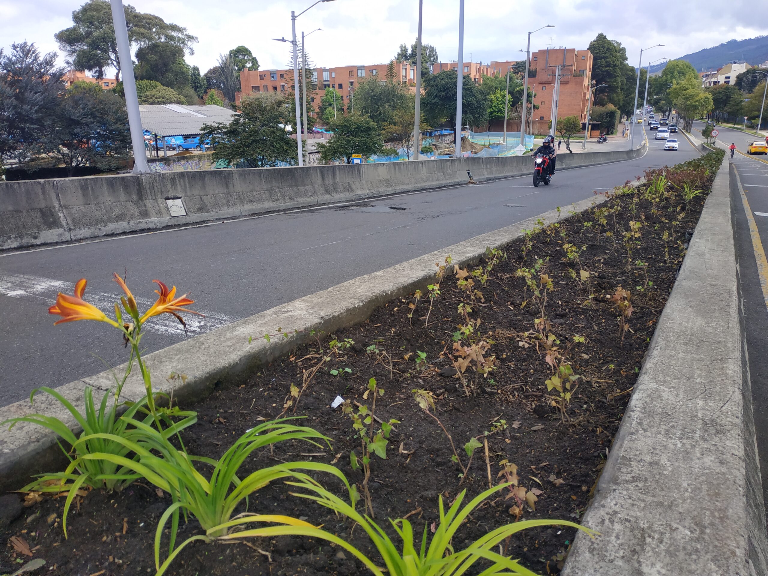 El puente vehicular de Usaquén que floreció con una nueva jardinera
