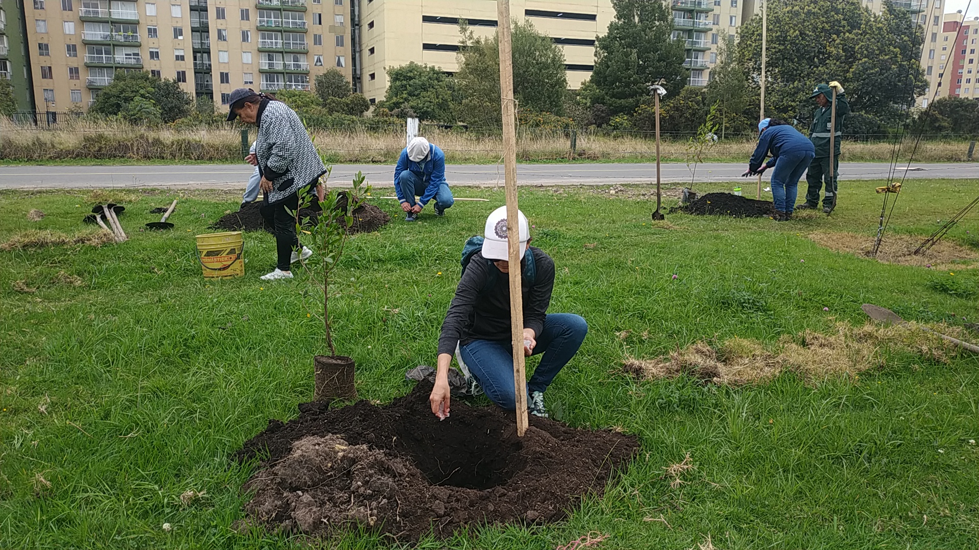 Un campo de golf rodeado por árboles y arbustos