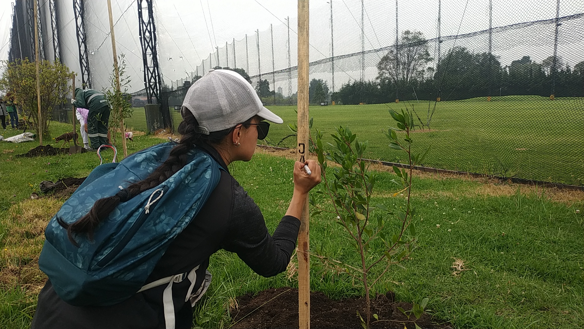 Un campo de golf rodeado por árboles y arbustos