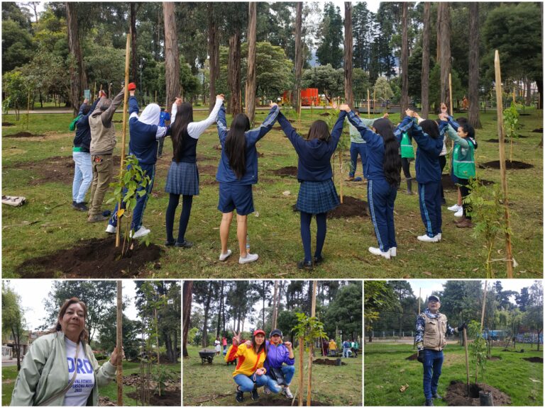 San Carlos: un bosque urbano que ya suma 360 árboles y arbustos