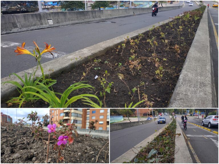 El puente vehicular de Usaquén que floreció con una nueva jardinera