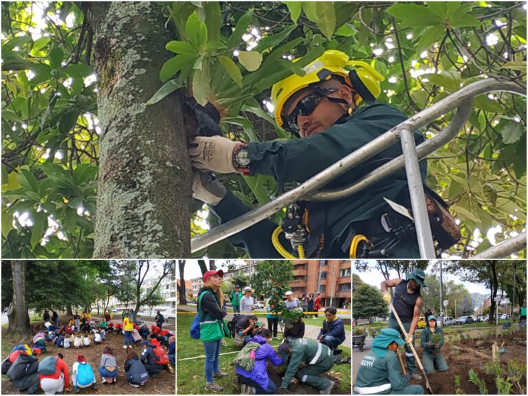 La gran jornada que consolidó el bosque urbano del Park Way