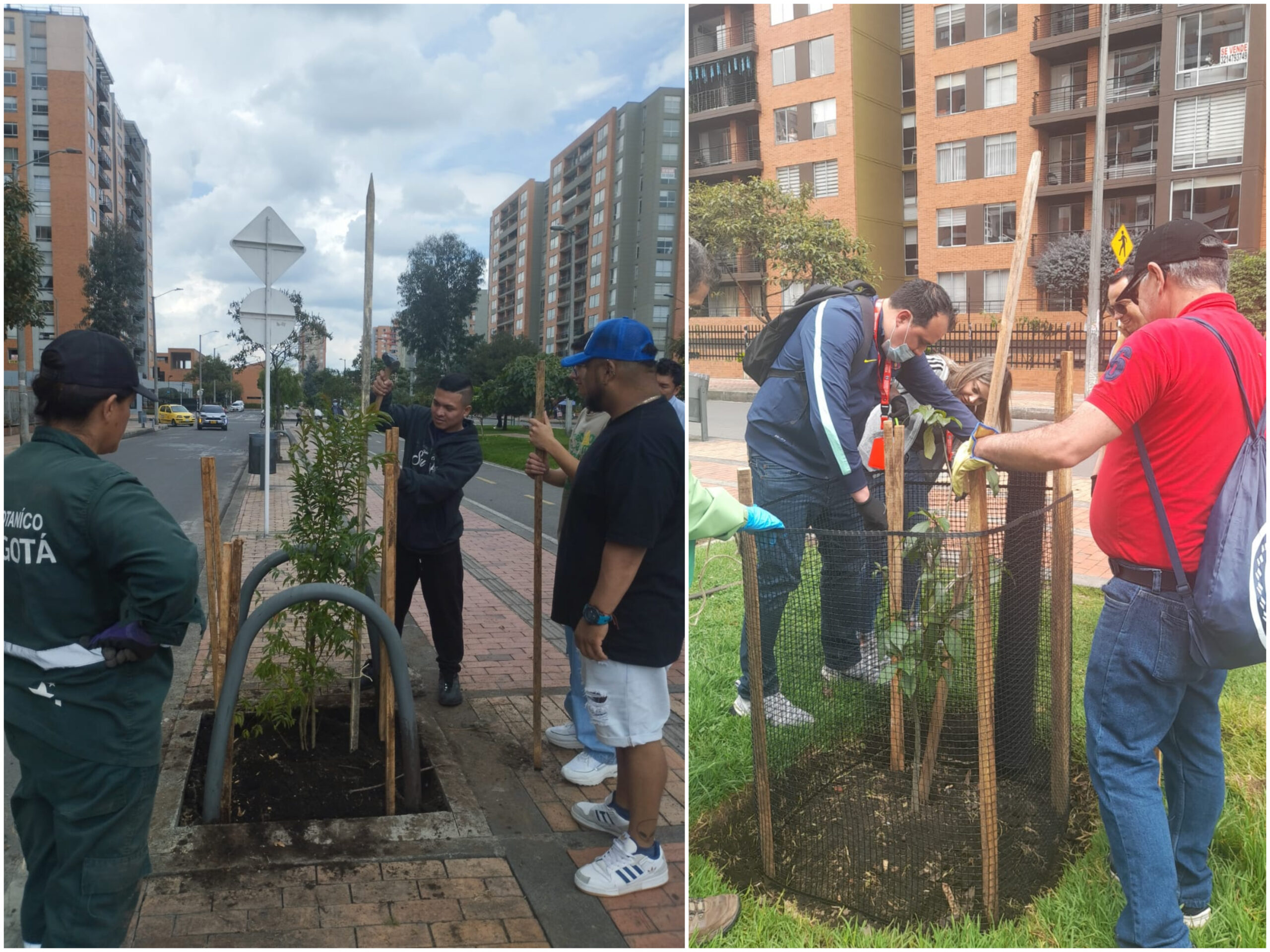 Salvavidas para los árboles y arbustos de La Felicidad