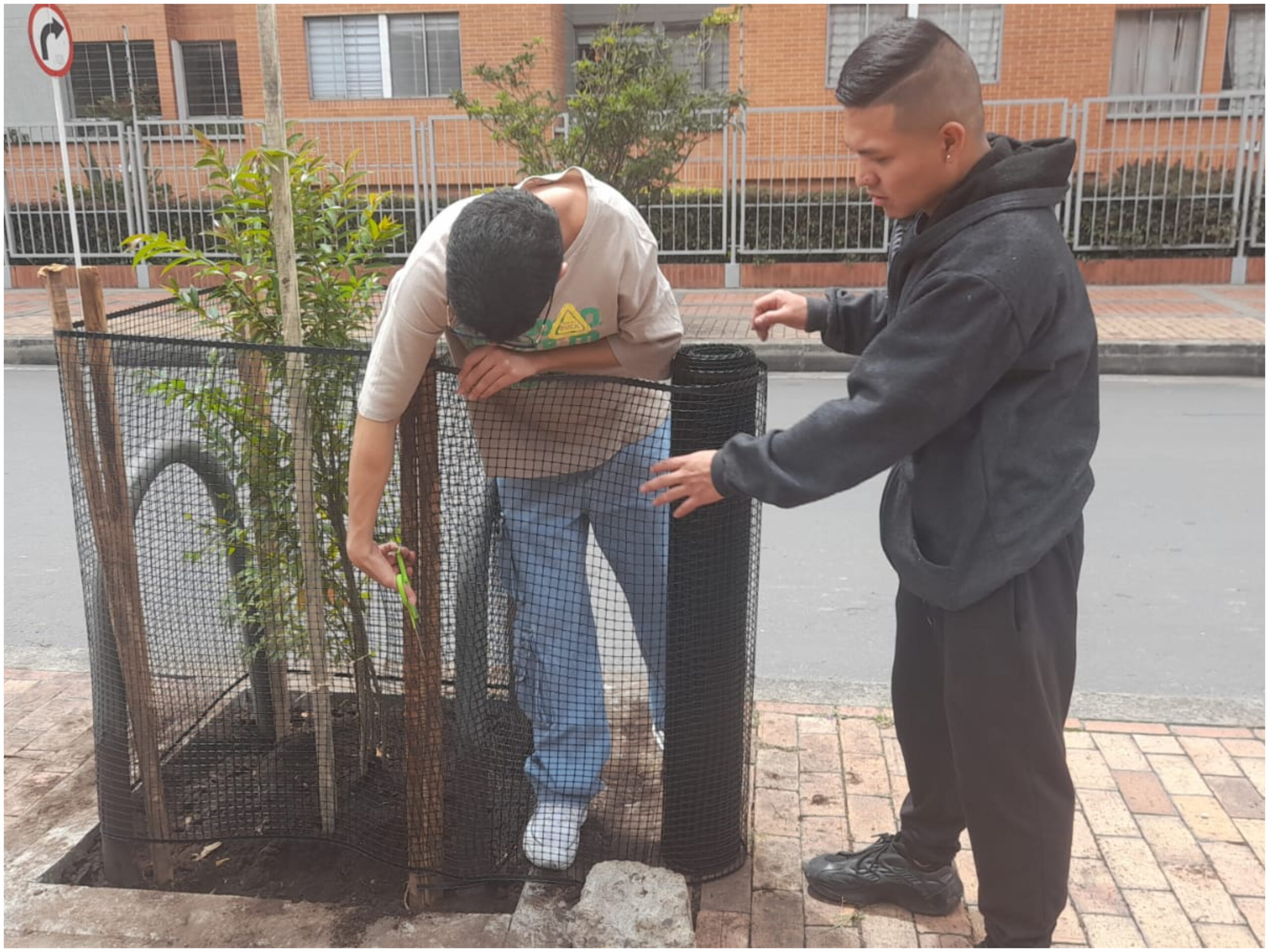 Salvavidas para los árboles y arbustos de La Felicidad