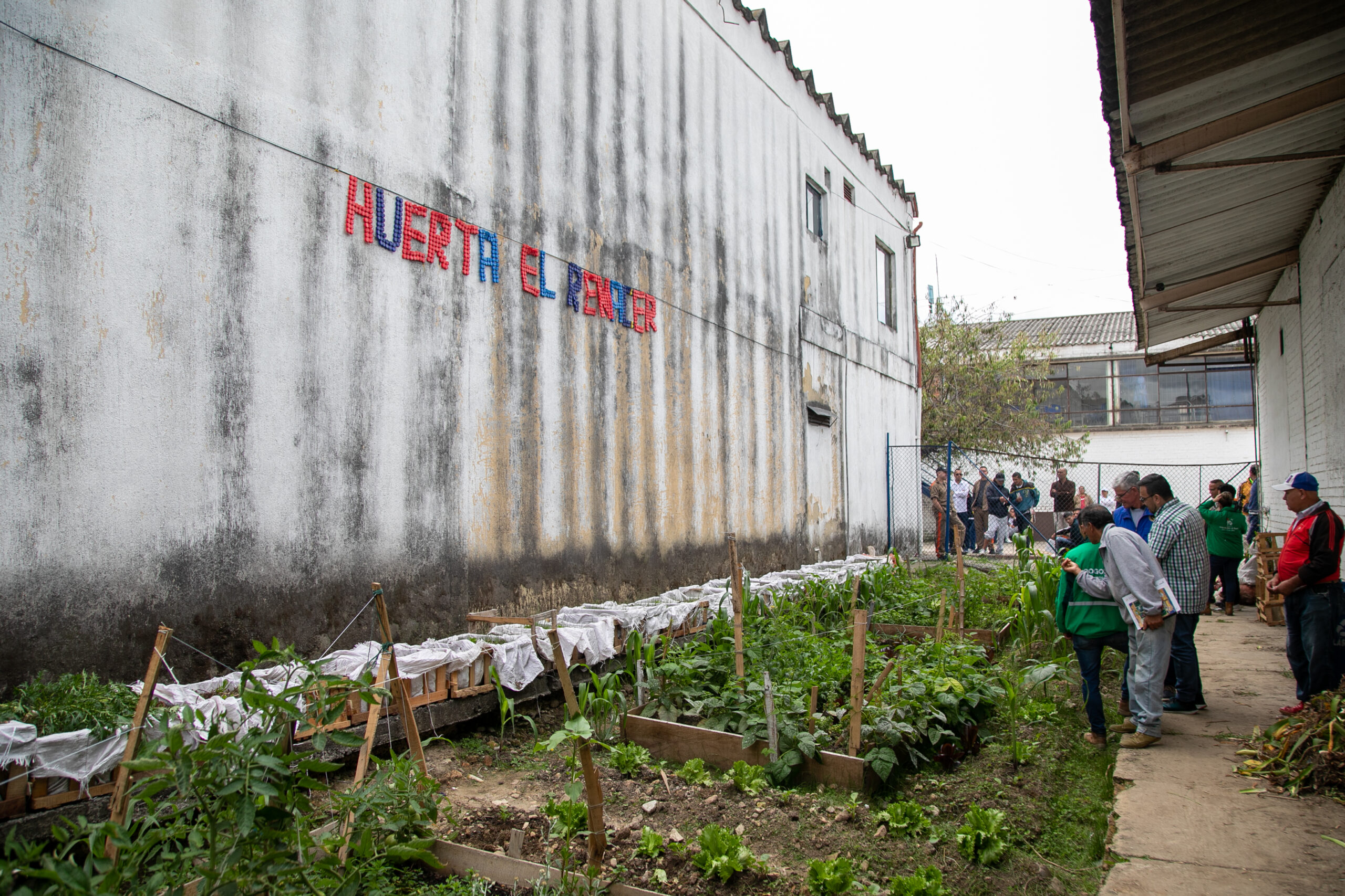 El Renacer: la huerta de 28 reclusos de la cárcel La Picota