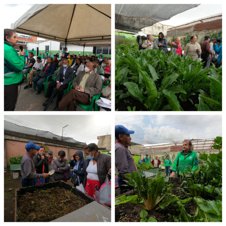 Sembramos ciudad con la construcción colectiva de Redes de Agricultoras y Agricultores Urbanos en Fontibón