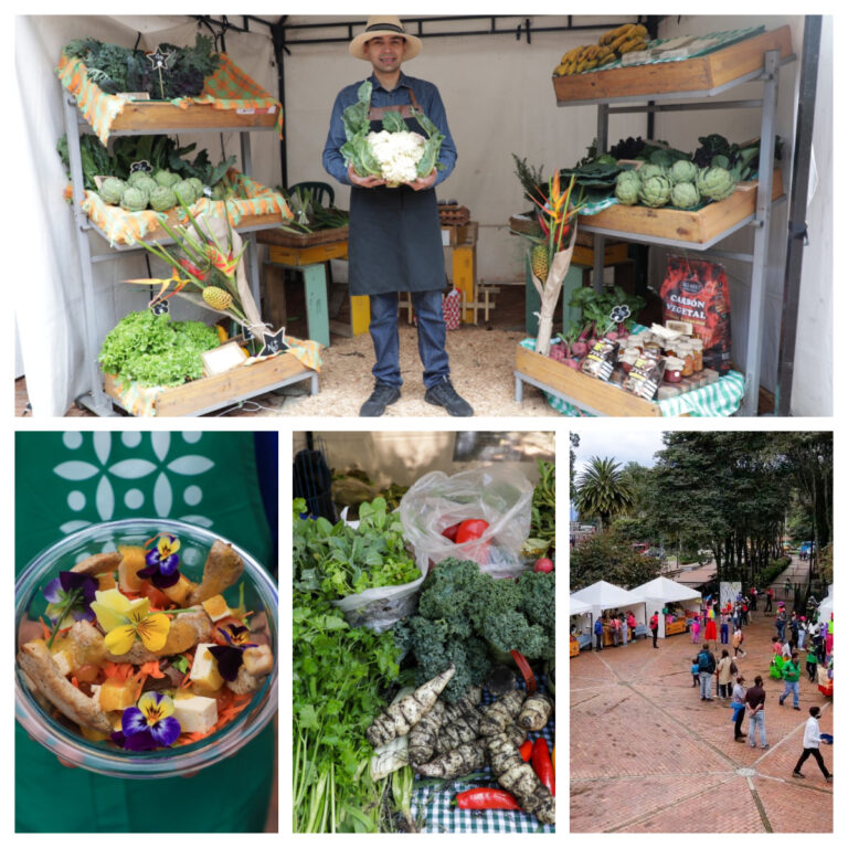 Merca y aliméntate a cielo abierto en el último mercado campesino agroecológico y biodiverso del Jardín Botánico de Bogotá