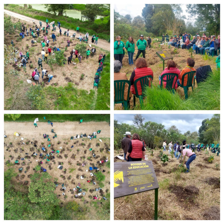 Familiares, docentes y amigos rindieron homenaje al maestro Abel Rodríguez Céspedes con plantación en la reserva Thomas van der Hammen
