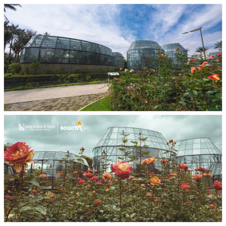 Tropicario del Jardín Botánico de Bogotá recibe “Lápiz de Acero 2023” por Diseño Vanguardista y Sostenible