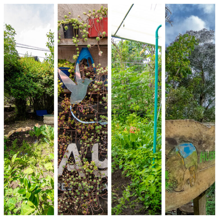 Nace en Chapinero la quinta Ruta Agroecológica de Bogotá: diversa y con enfoque de género