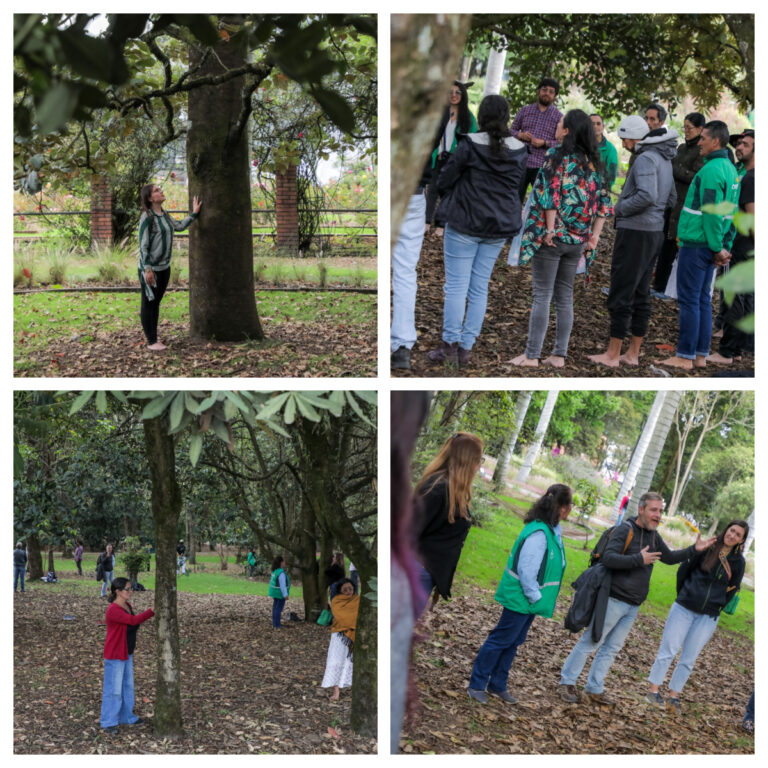 Bogotá está lista para ofrecer “Baños de Bosque” como opción terapéutica y con personal certificado