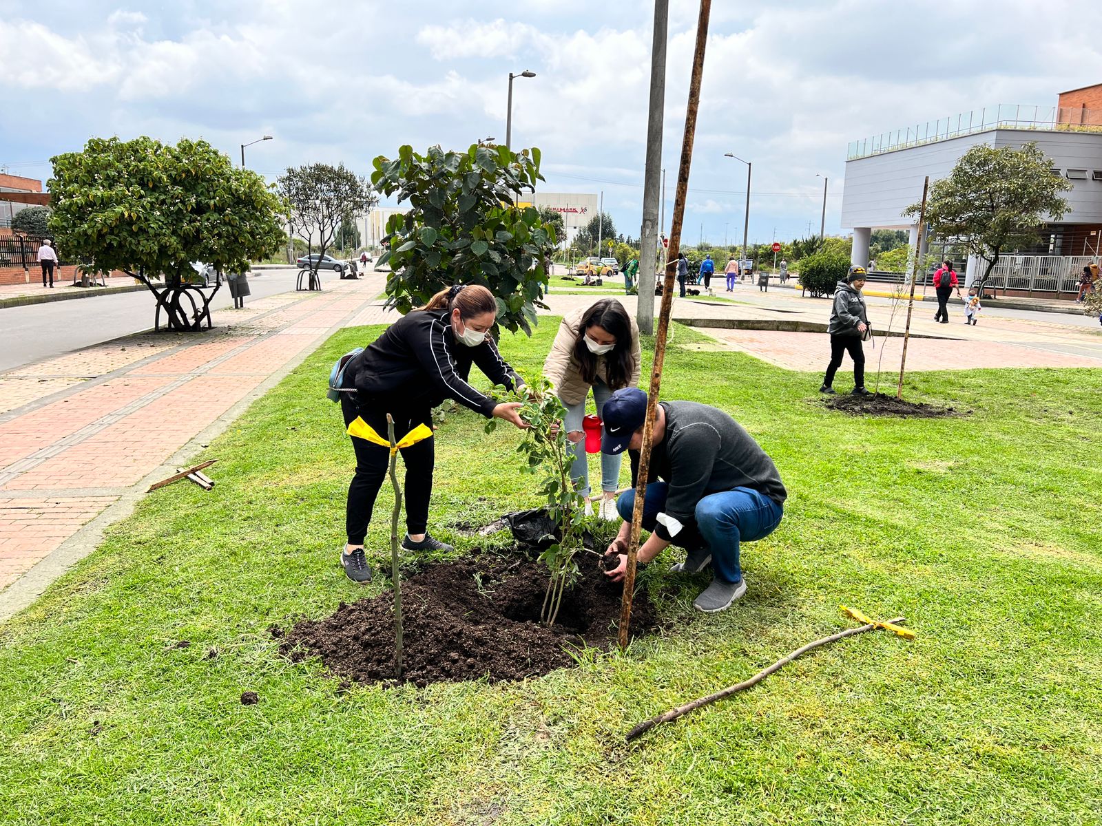Salvavidas para los árboles y arbustos de La Felicidad