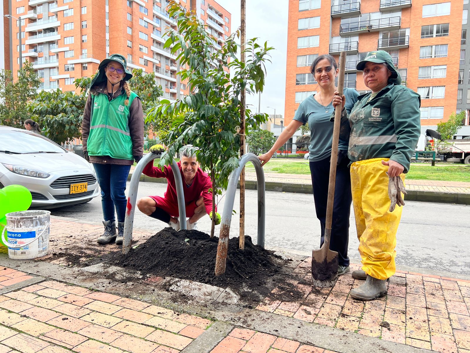 Salvavidas para los árboles y arbustos de La Felicidad