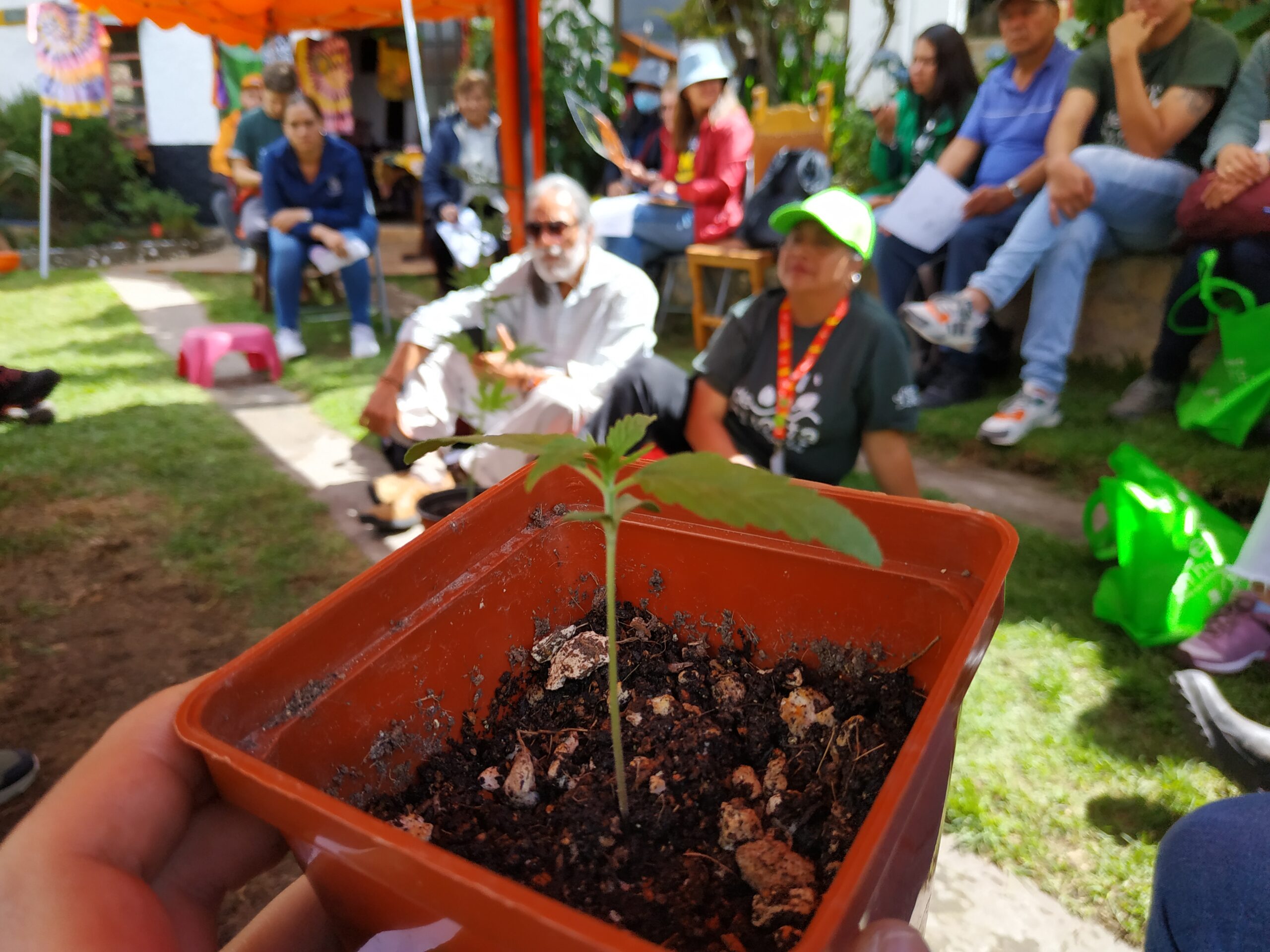 Chapinero: una ruta agroecológica diversa e innovadora