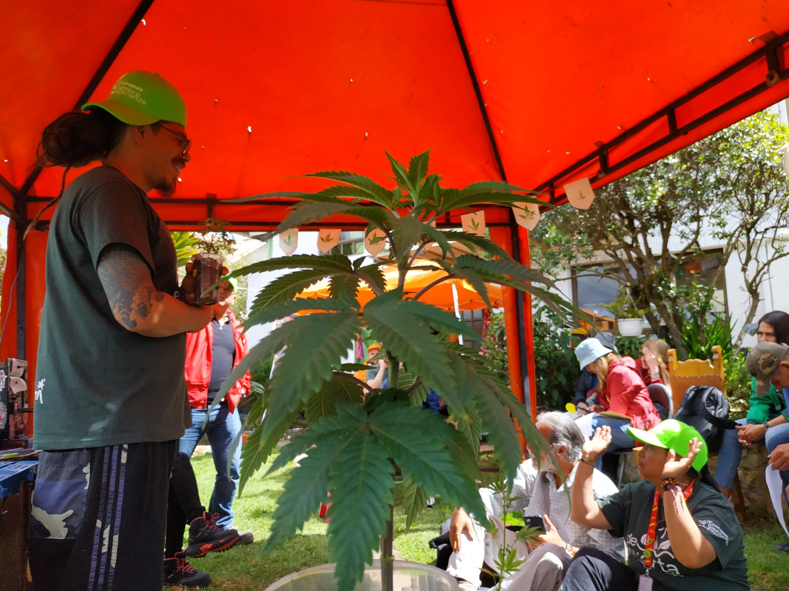 Chapinero: una ruta agroecológica diversa e innovadora