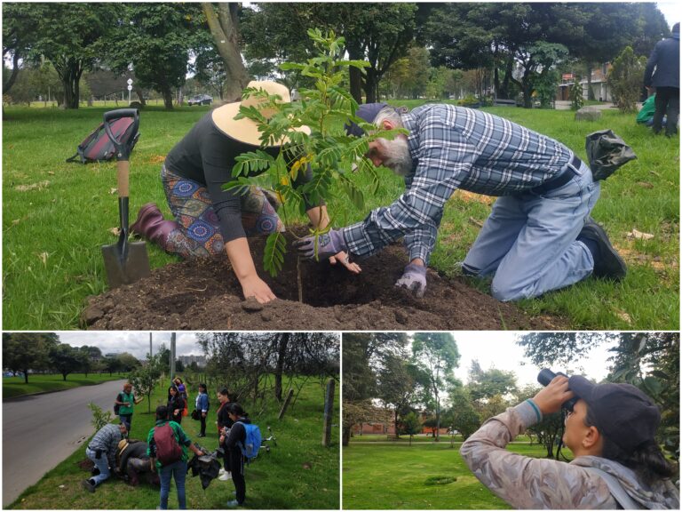 ¡La Esmeralda pinta su bosque urbano!