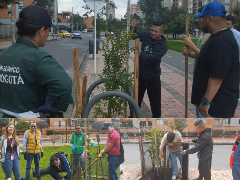 Salvavidas para los árboles y arbustos de La Felicidad